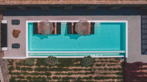 Aora Villa Ftelia Beach Mykonos